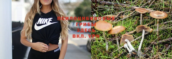 mdpv Арсеньев