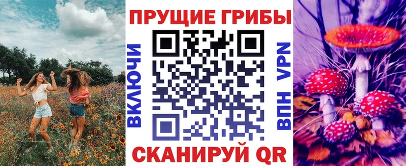 Псилоцибиновые грибы прущие грибы сколько стоит Лихославль